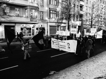 Bilder von der LL-Demonstration am 11.1.2009